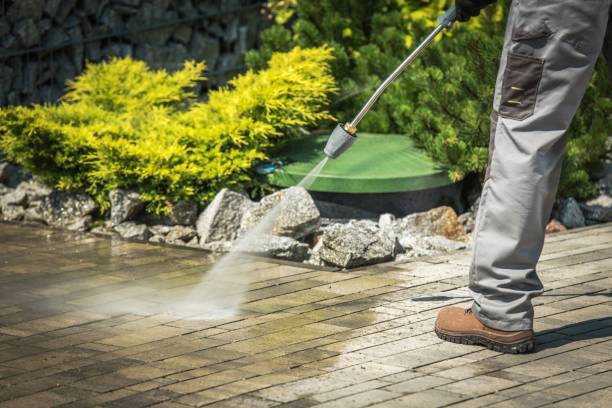 Best Gutter Cleaning  in Forsgate, NJ