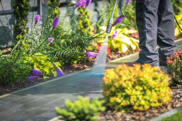 Best Sidewalk and Walkway Cleaning  in Forsgate, NJ